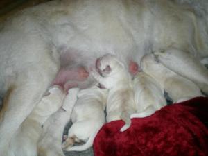 Babies 2 days old xxxx