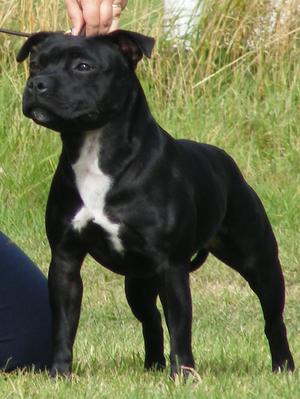 Rubericla The Evil Inside At Passernomen