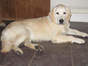 Our laid back Lola!