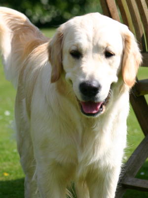Our Lovely Lola!