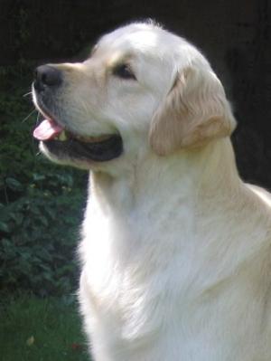 Dad Billy - what a handsome boy!
