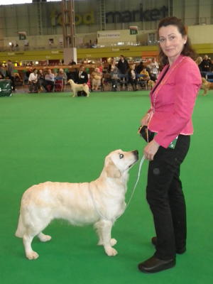 Rozi winning 3rd Junior Crufts 1015