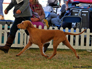 In the Group at Bournemouth Championship