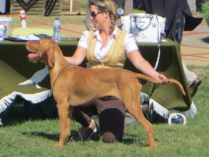 Dora in the ring at 15 Months