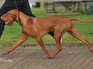 and in the ring at 11 months.