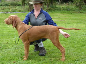 Practising at 6 months