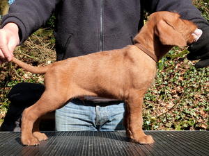 and back at 6 weeks old.
