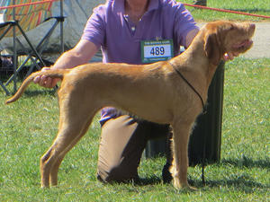 Iris in the ring at 15 Months
