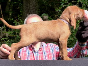 and back at 7 weeks.