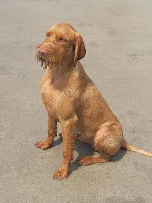 at 9 months