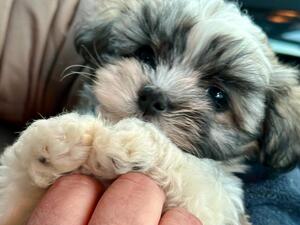 Snuggly tummy tickles - bliss!!