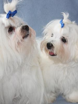 Mother and son - Kallie with Danny