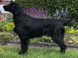 Caris @ 14 months