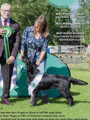 Roxie winning best puppy in show