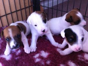 Three weeks old here