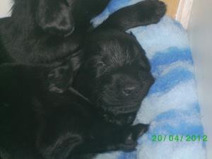 already 4 weeks!