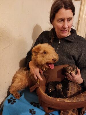 Hazel and Pups