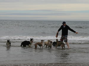 enjoying a day at the beach