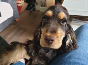 Mum lou lou