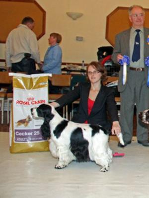 best in show