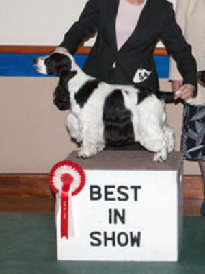 Winning Best in show
