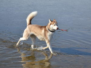 Amber Cooling Down