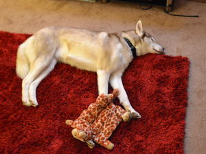 Amber Chilling Out