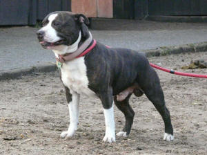 Bert aged 10