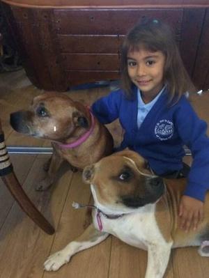 Boagy, Freddie and Chase