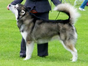 Kaiser