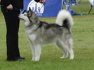 Nickel