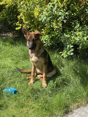 At play in the garden