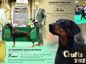 Crufts 2020 Best Puppy and RDCC