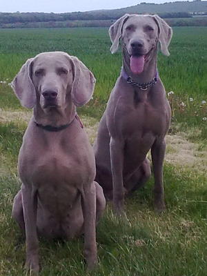 Anna with her son Louie... watching her back!