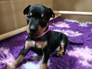 Grayswish Time of my life