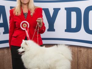 Sexy Best of Breed, Netherlands