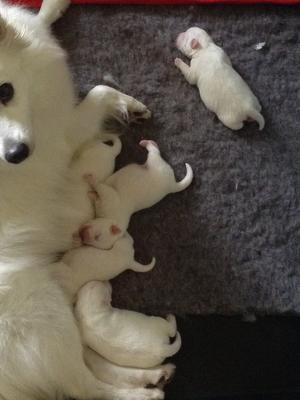 Proud Mum