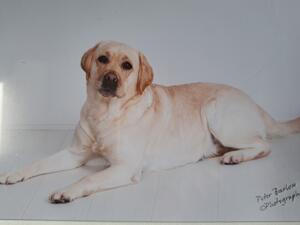 Oona - 2 years