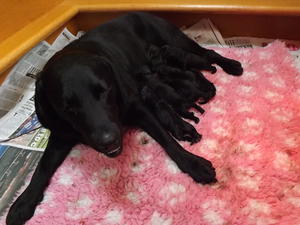 A couple of days old