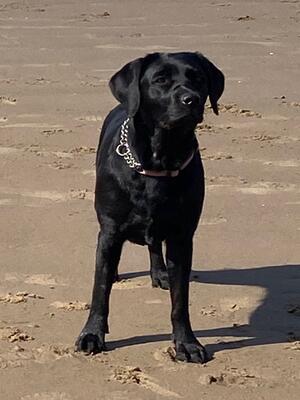 Esme on holiday