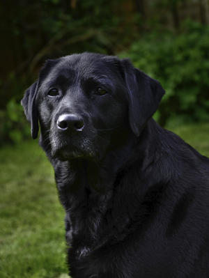Jess May 2011