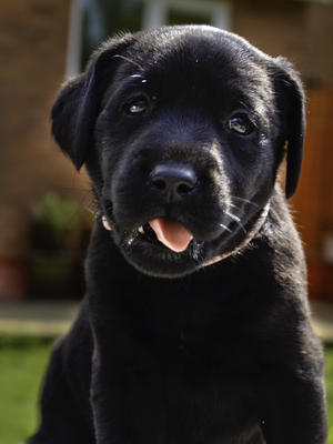 Black girl still available