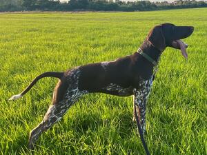 7 Months Old