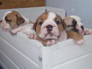 Beautiful Babies!