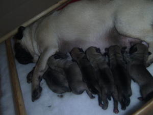 5 Girls, 2 Boys - WOW!!