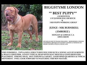 BIGGSTYME LONDON 10 month s