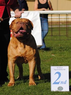 BIGGSTYME LONDON - 21 months