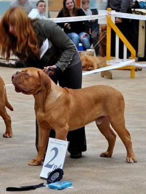 BIGGSTYME LONDON 7 months