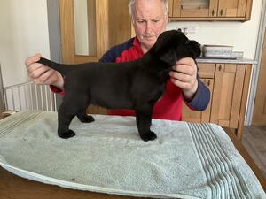 Eisa with pups at 10 days