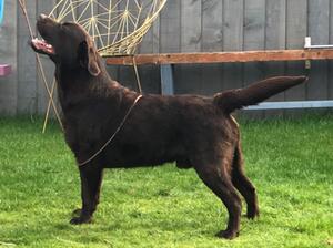 Rory at 1 year old